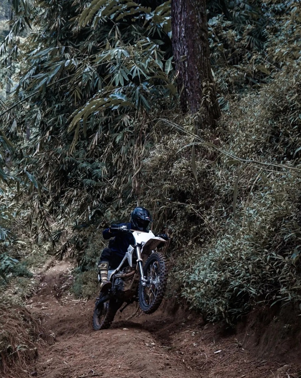 Trail Adventure Cibodas