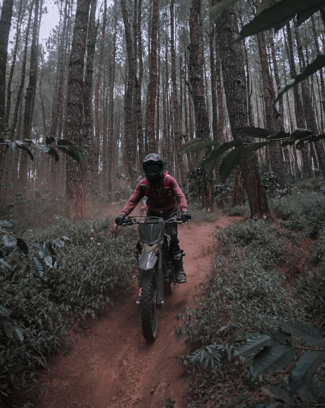 Pertamina Team Building