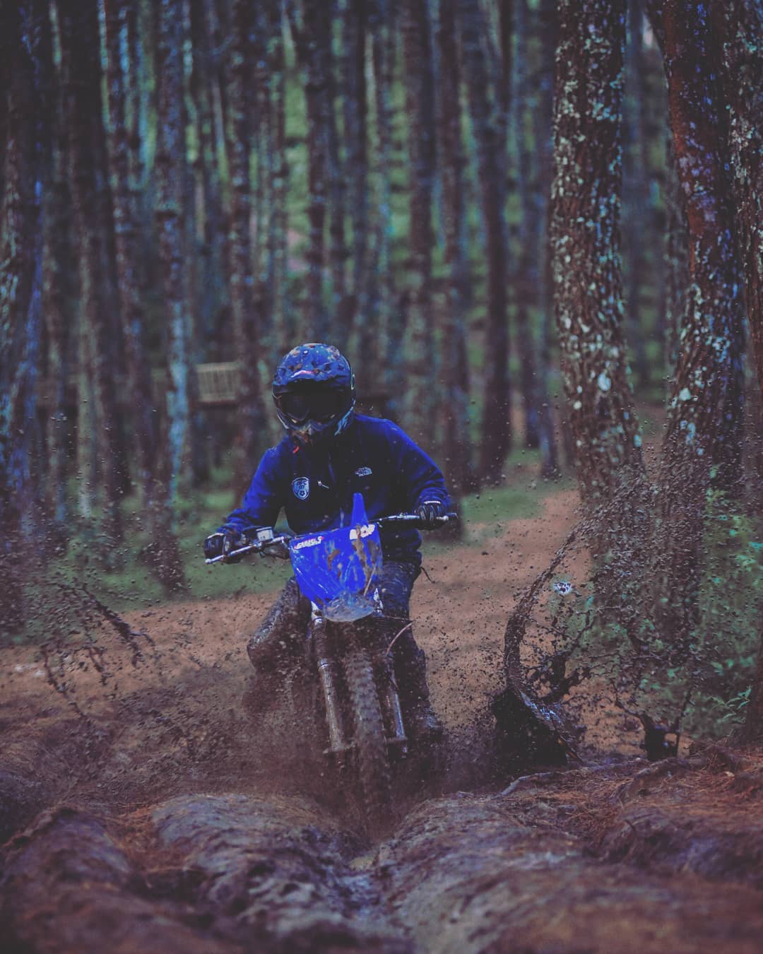 Professional Documentation